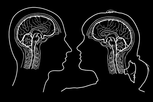 Как мозг формирует личность? Фактор 3